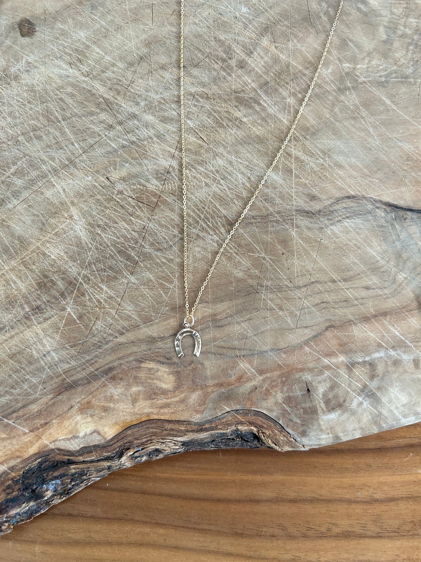 Horseshoe Necklace